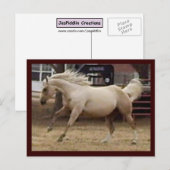 Carte postale Spunky Palomino (Devant / Derrière)