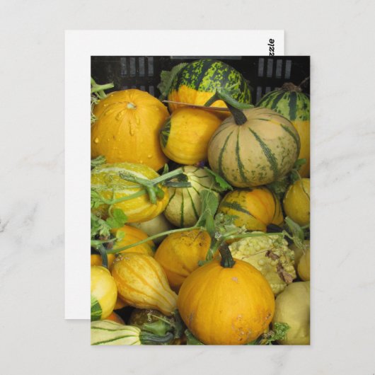 Carte postale - Squash (Devant / Derrière)