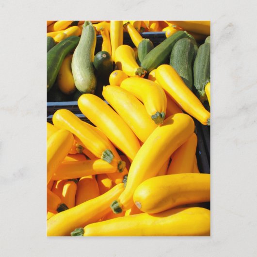 Carte Postale Squash en jaune et vert (Devant)