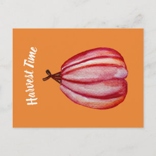 Carte postale Squash, Fall Art