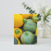 Carte Postale Squash Vert Et Jaune (Debout devant)