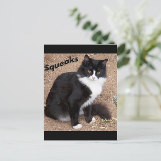 Carte Postale Squeaks (Debout devant)