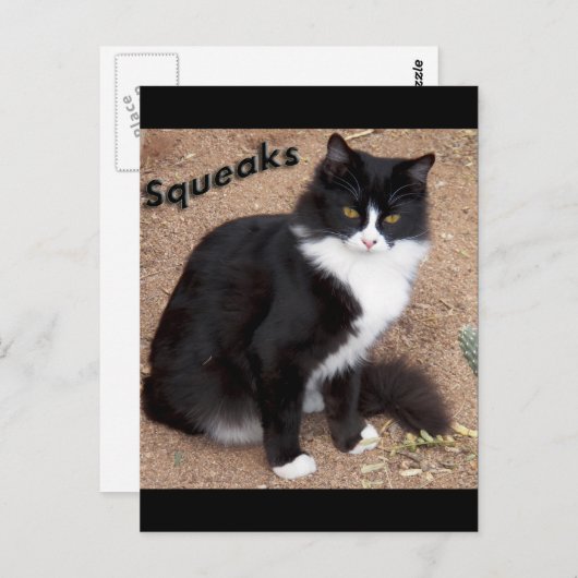 Carte Postale Squeaks (Devant / Derrière)