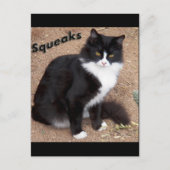 Carte Postale Squeaks (Devant)