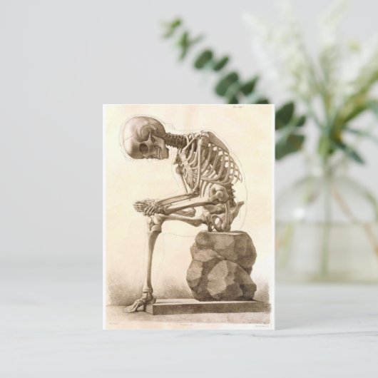 Carte Postale squelette (Debout devant)