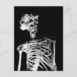 Carte Postale Squelette