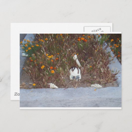 Carte Postale Squelette à Marigolds (Devant / Derrière)
