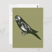 Carte Postale Squelette Budgie (Devant / Derrière)