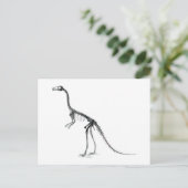 Carte Postale squelette compsognathus (Debout devant)