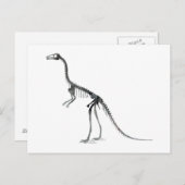 Carte Postale squelette compsognathus (Devant / Derrière)
