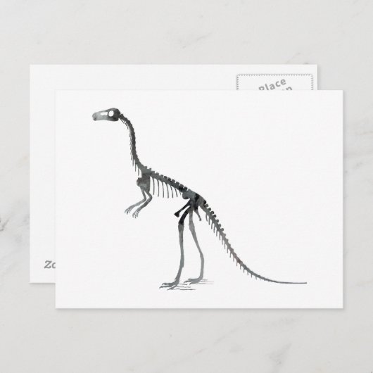 Carte Postale squelette compsognathus (Devant / Derrière)
