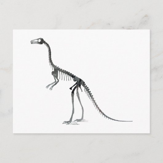 Carte Postale squelette compsognathus (Devant)