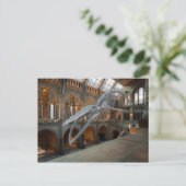 carte postale squelette de baleine (Debout devant)