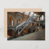 carte postale squelette de baleine (Devant / Derrière)