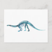 Carte Postale squelette de brontosaurus (Devant)