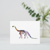 Carte Postale squelette de camarasaurus (Debout devant)