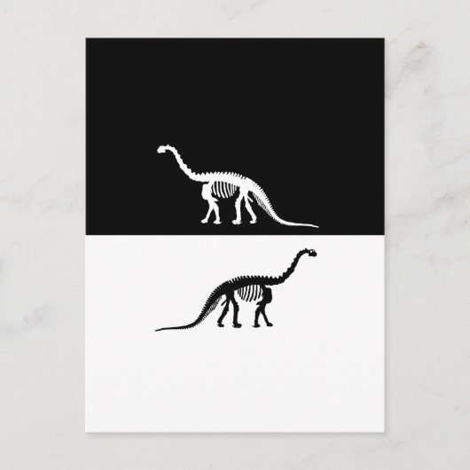 Carte Postale squelette de camarasaurus (Devant)