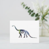Carte Postale squelette de camarasaurus (Debout devant)