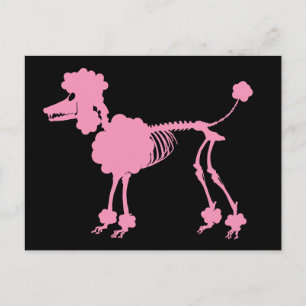 Carte Postale Squelette de caniche rose