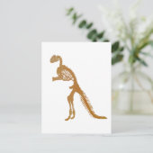 Carte Postale squelette de dinosaure (Debout devant)