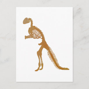 Carte Postale squelette de dinosaure