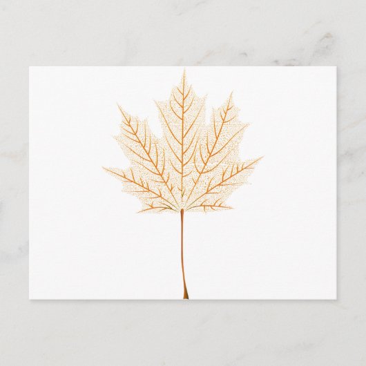 Carte Postale Squelette de feuille d'érable (Devant)