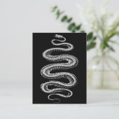 Carte Postale Squelette de serpent coulissant (Debout devant)