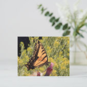 Carte Postale Squelette de tigre occidental (Debout devant)