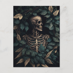 Carte Postale Squelette en Plante