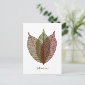 Carte Postale Squelette Feuille (Debout devant)