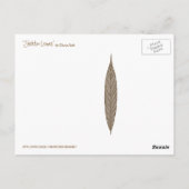 Carte Postale Squelette Feuille (Dos)