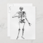 Carte Postale Squelette humain (Devant / Derrière)