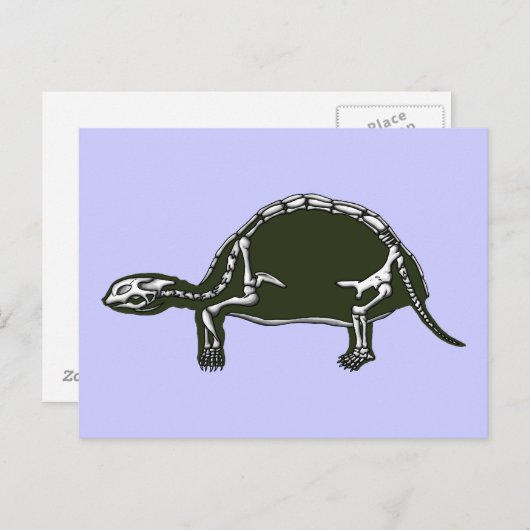 Carte Postale squelette tortue (Devant / Derrière)