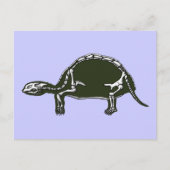 Carte Postale squelette tortue (Devant)