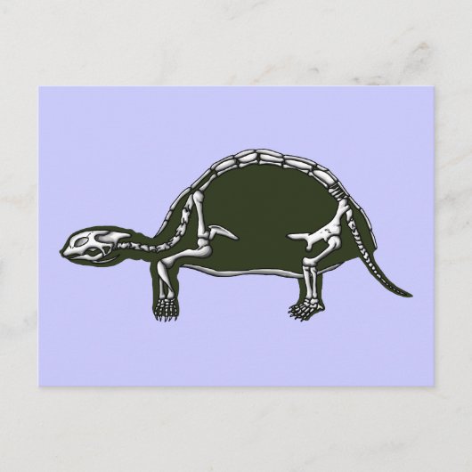 Carte Postale squelette tortue (Devant)