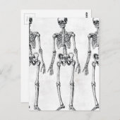 Carte Postale Squelettes (Devant / Derrière)