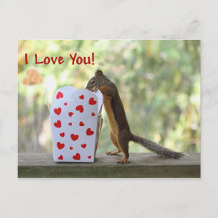 Carte Postale Squirl Looking Inside Heart Box, "I Love You"
