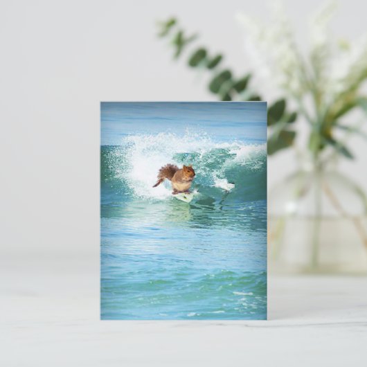 Carte Postale Squirl Surfer (Debout devant)