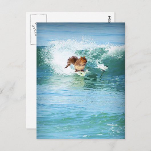 Carte Postale Squirl Surfer (Devant / Derrière)