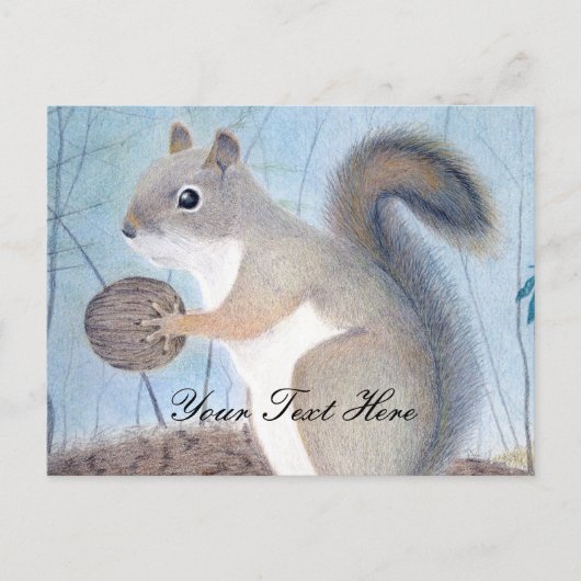 Carte Postale Squirrel (Devant)