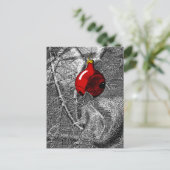Carte Postale Squirrel in Christmas Tree (Debout devant)