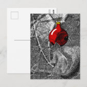 Carte Postale Squirrel in Christmas Tree (Devant / Derrière)