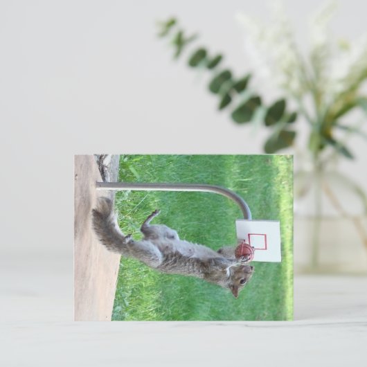 Carte Postale Squirrel Slam Dunk (Debout devant)