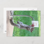Carte Postale Squirrel Slam Dunk (Devant / Derrière)