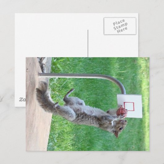 Carte Postale Squirrel Slam Dunk (Devant / Derrière)