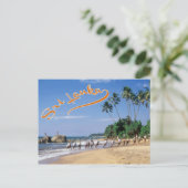 Carte Postale Sri Lanka (Debout devant)