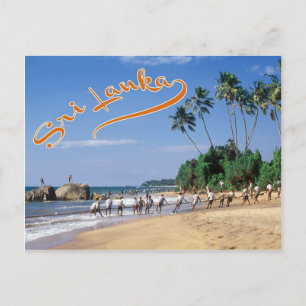 Carte Postale Sri Lanka