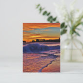 Carte Postale SS Palo Alto. (Debout devant)