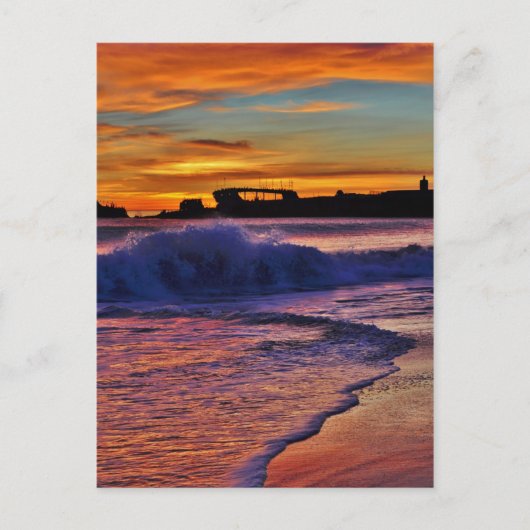 Carte Postale SS Palo Alto. (Devant)