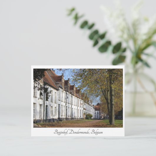 Carte Postale St. Alexiusbegijnhof, Dendermonde, Belgique. (Debout devant)